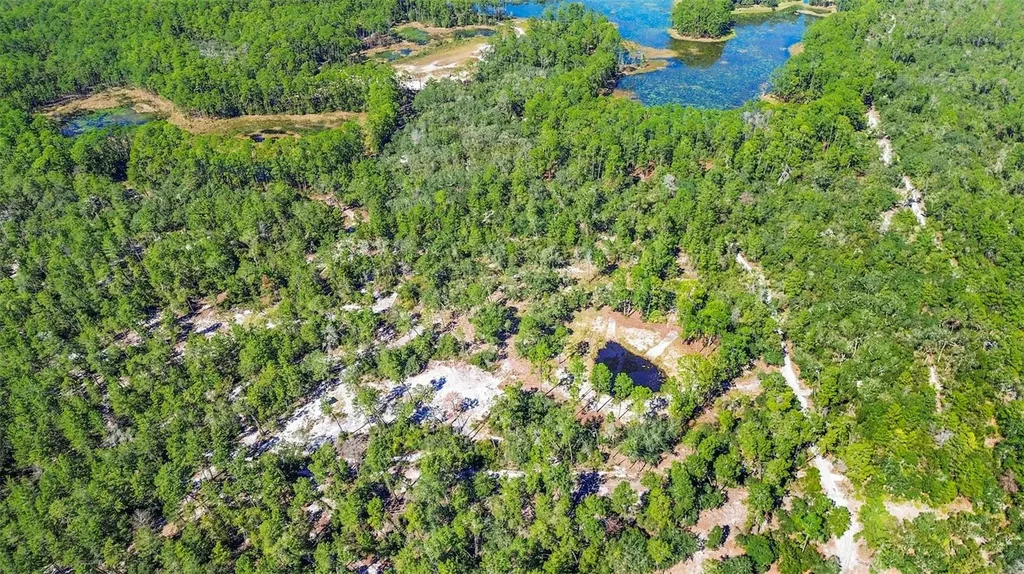 Deep Woods Road Paisley FL 32767
