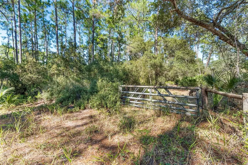 Deep Woods Road Paisley FL 32767