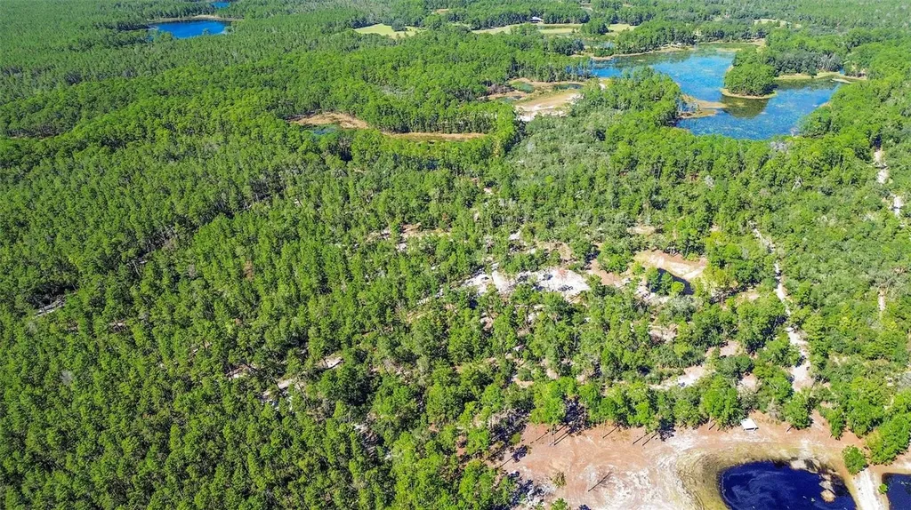 Deep Woods Road Paisley FL 32767