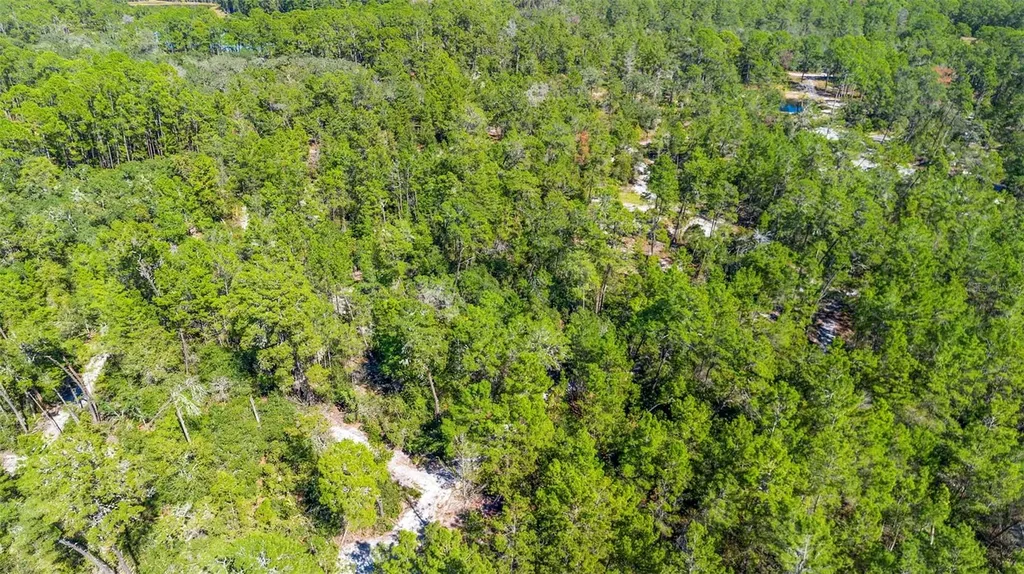 Deep Woods Road Paisley FL 32767