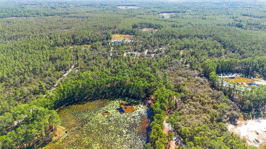 Deep Woods Road Paisley FL 32767