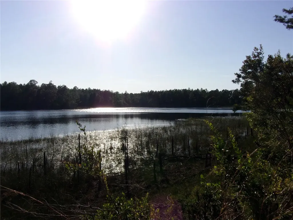 Deep Woods Road Paisley FL 32767