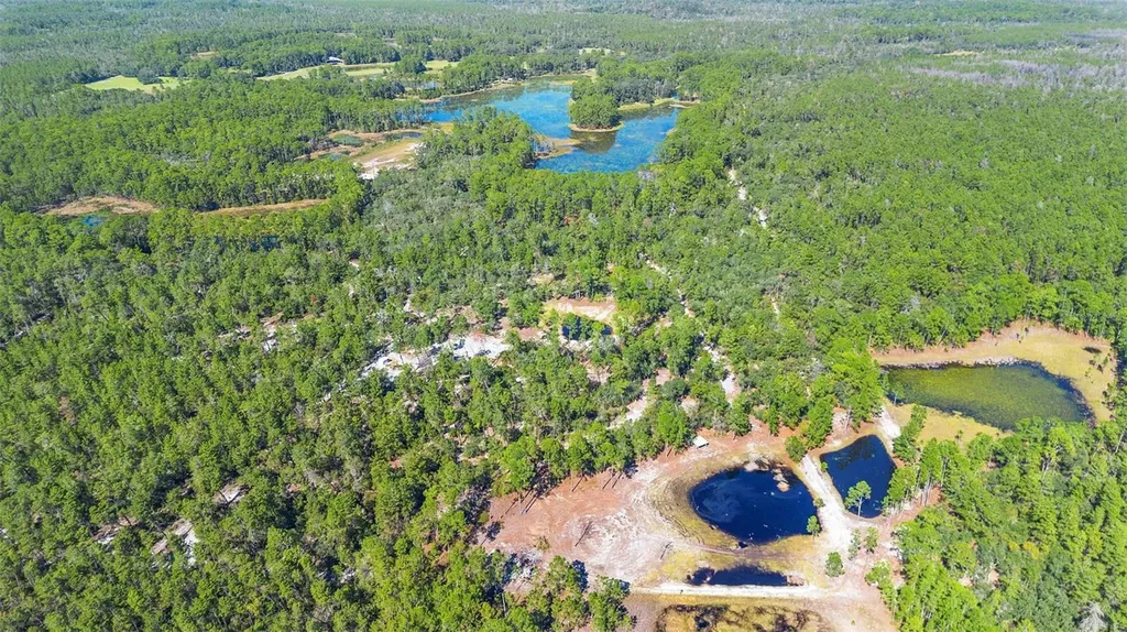 Deep Woods Road Paisley FL 32767