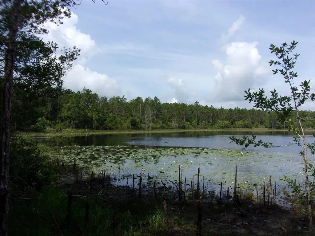 Deep Woods Road Paisley FL 32767