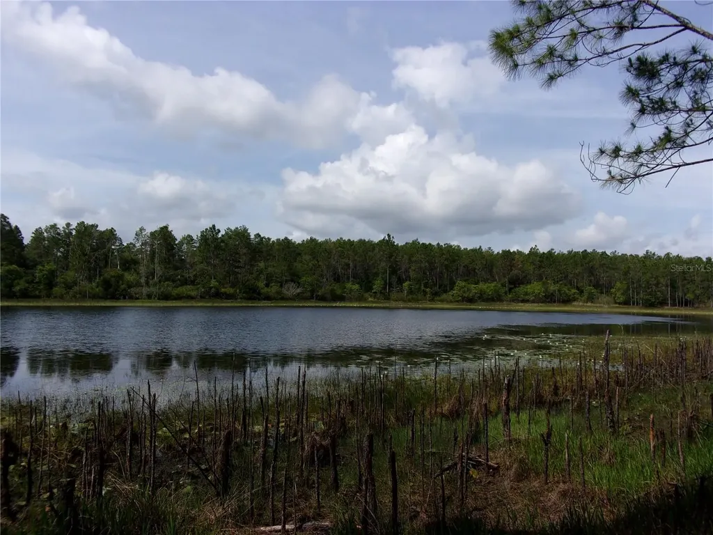 Deep Woods Road Paisley FL 32767