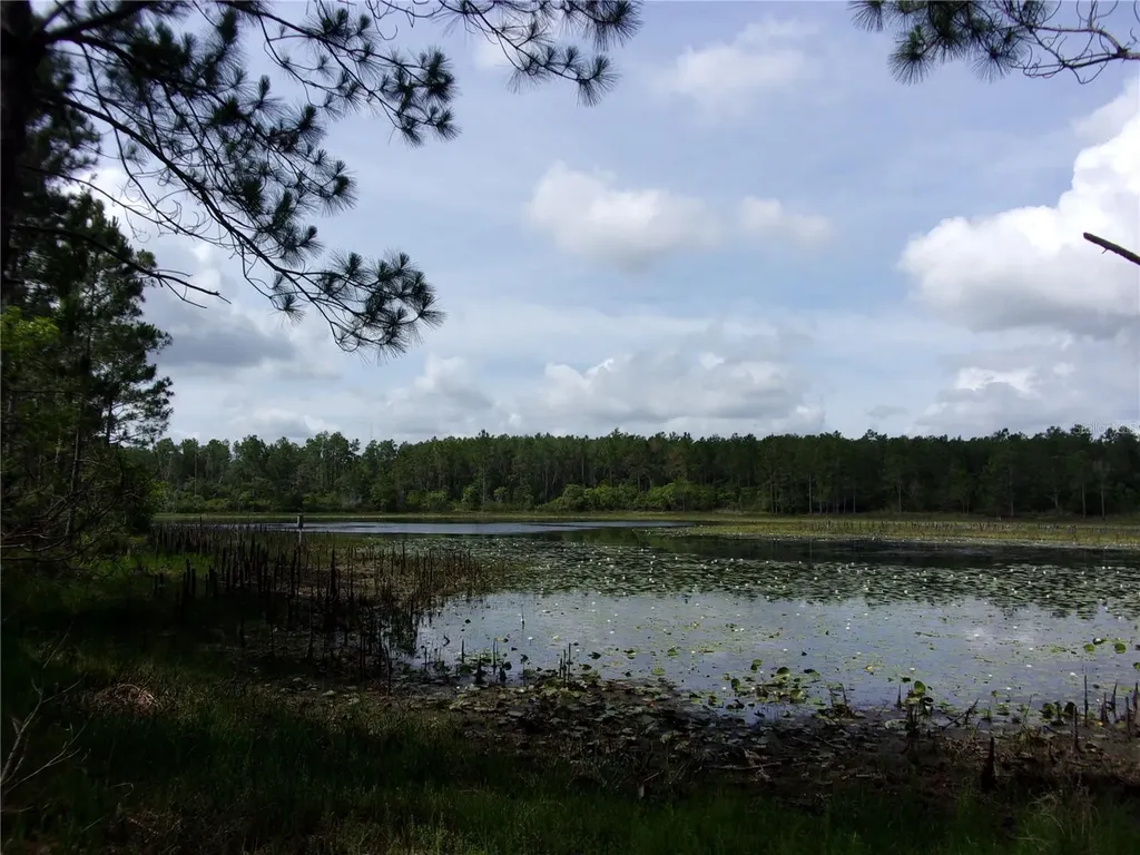 Deep Woods Road Paisley FL 32767