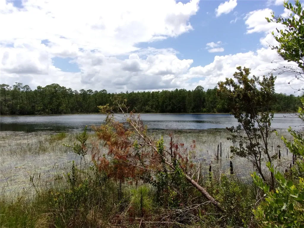 Deep Woods Road Paisley FL 32767