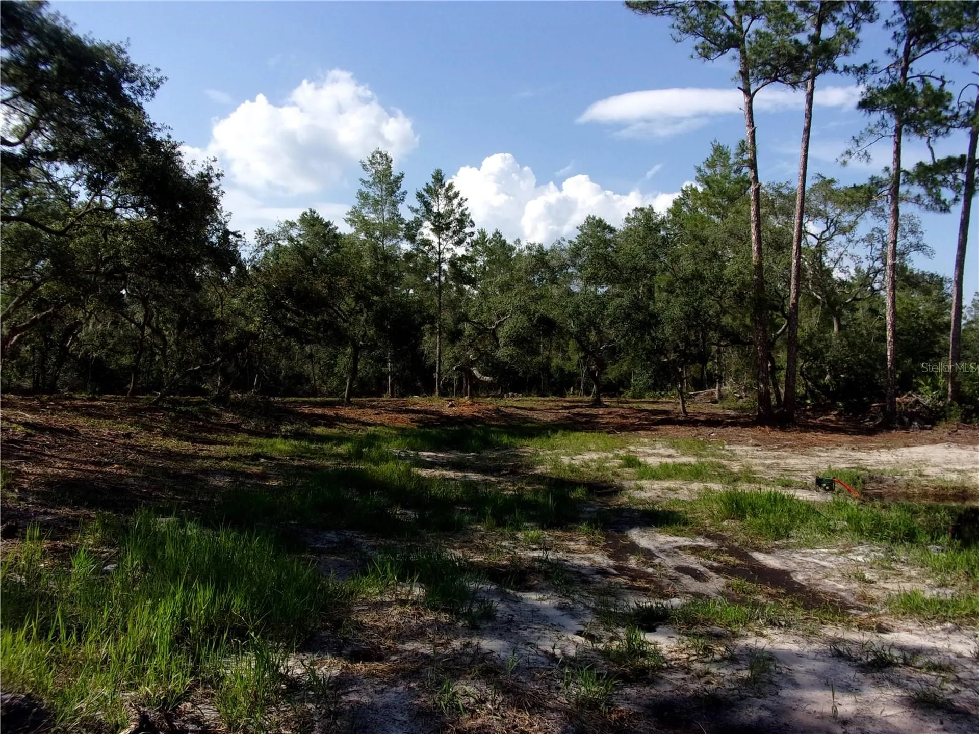Deep Woods Road Paisley FL 32767