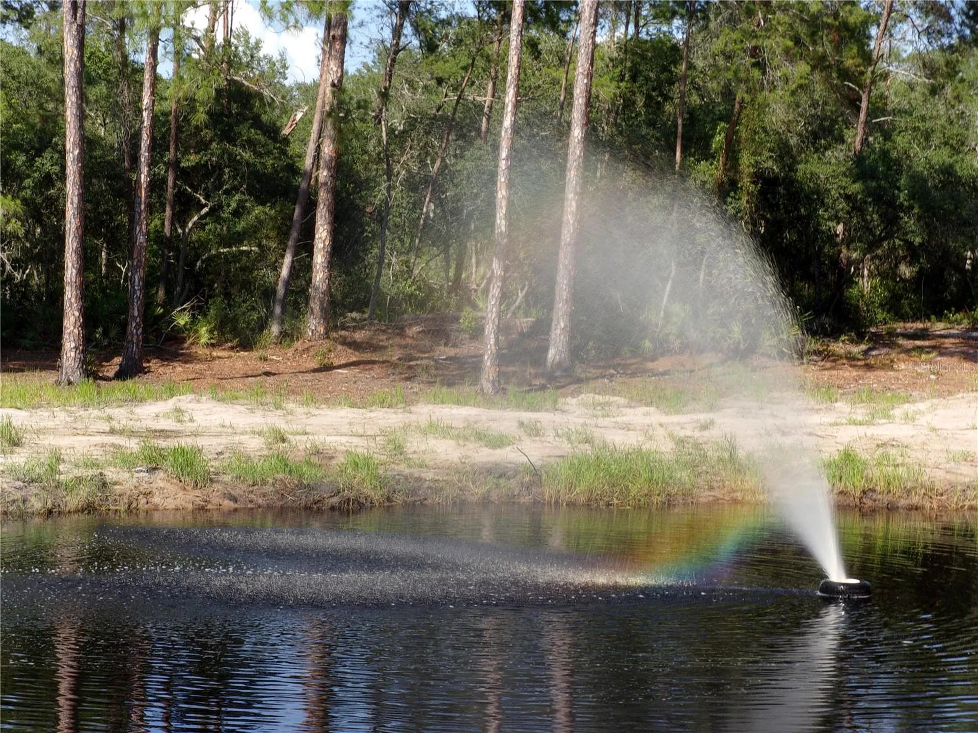 Deep Woods Road Paisley FL 32767