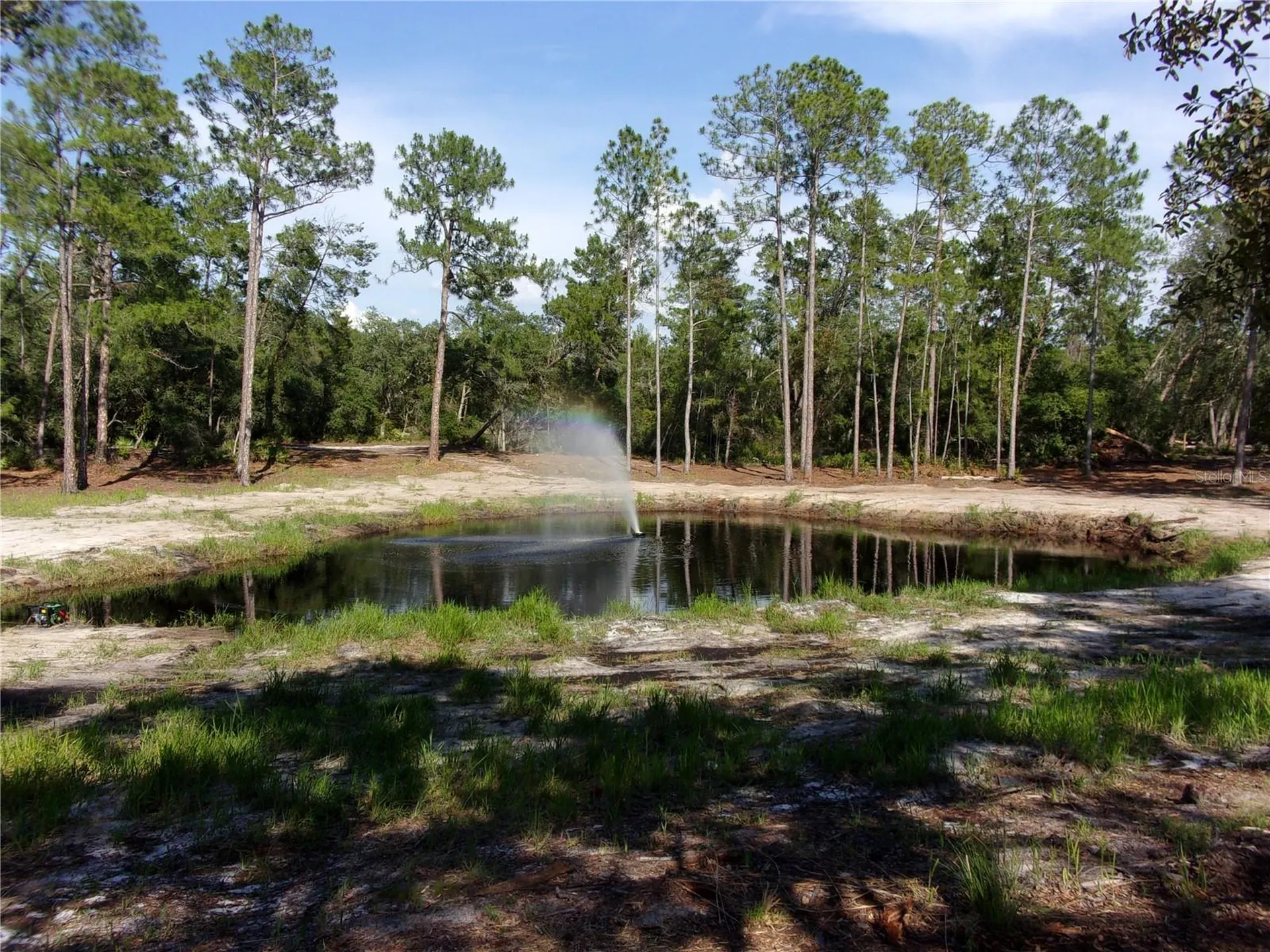 Deep Woods Road Paisley FL 32767