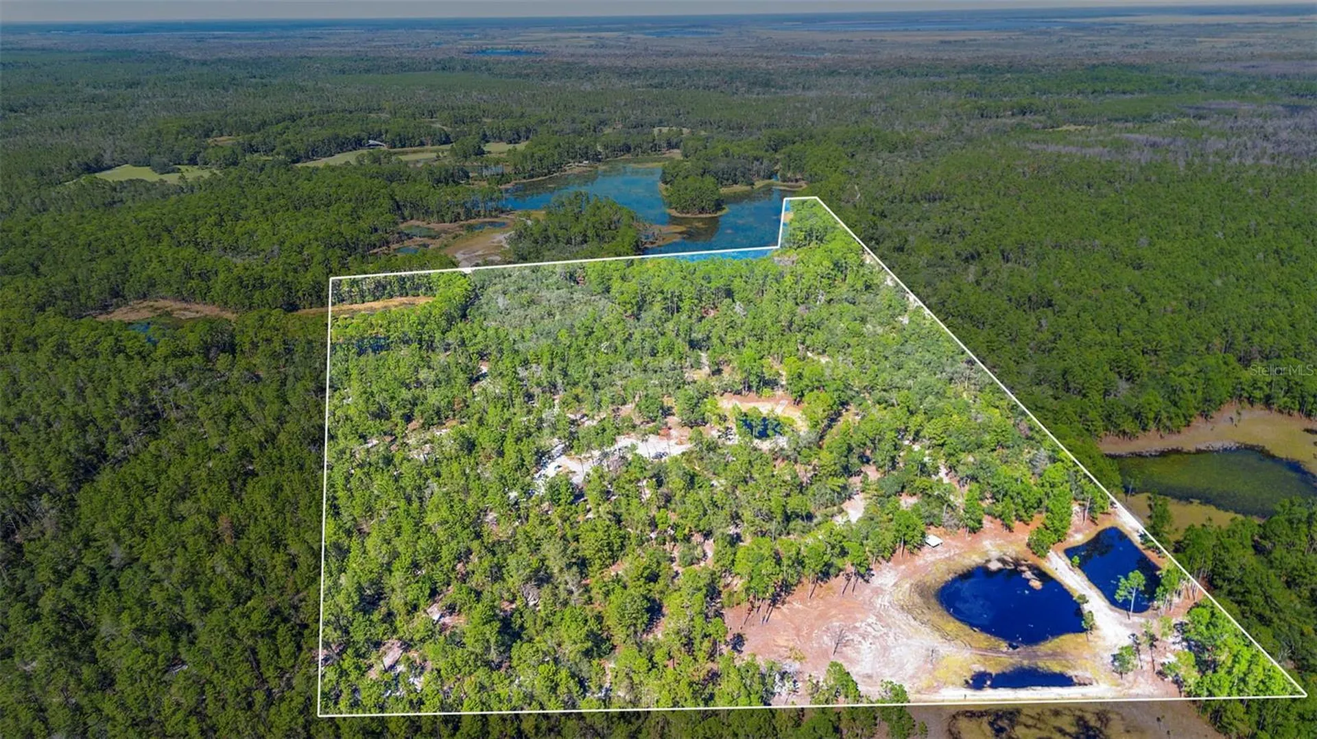 Deep Woods Road Paisley FL 32767