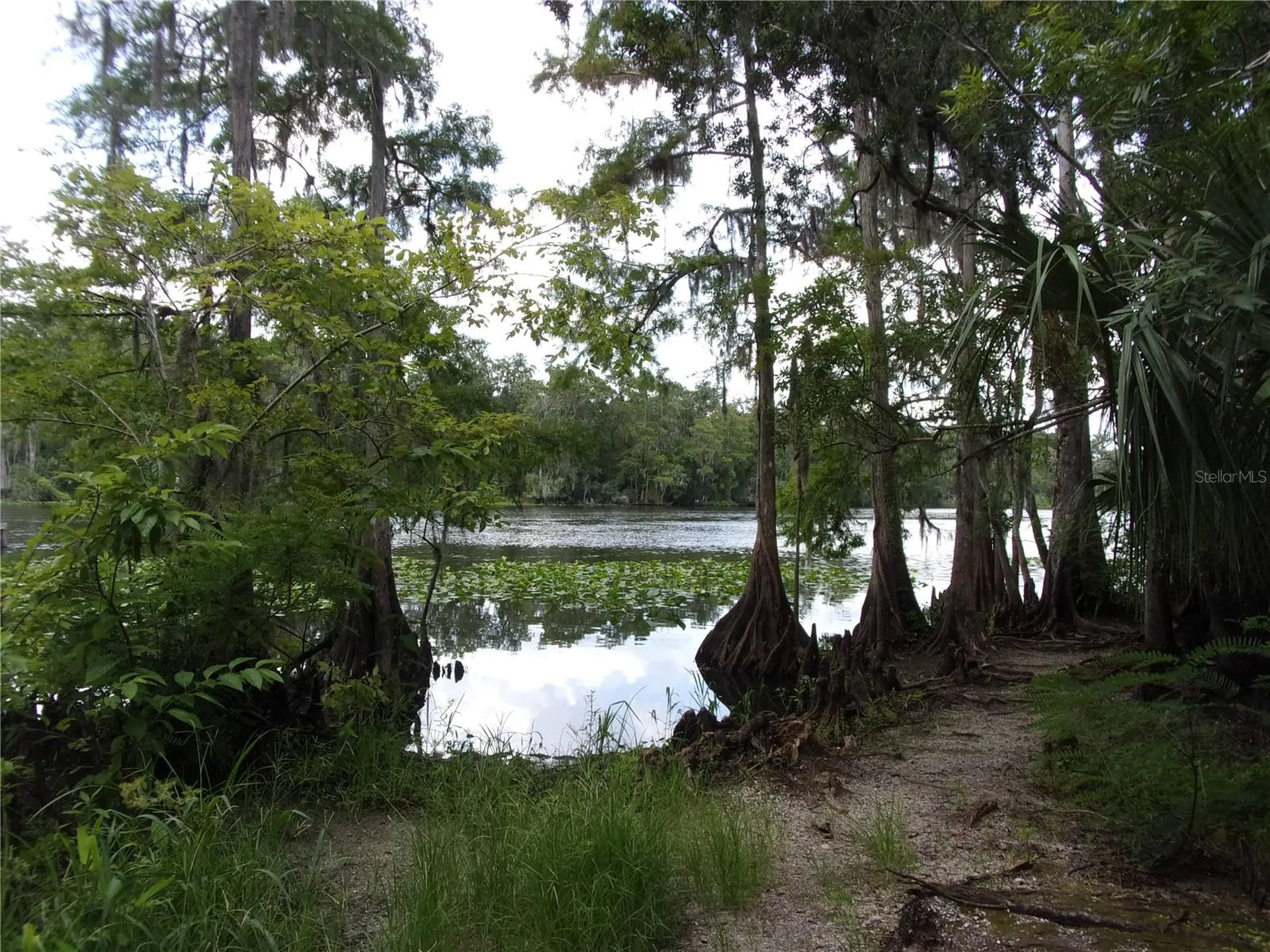 Deep Woods Road Paisley FL 32767