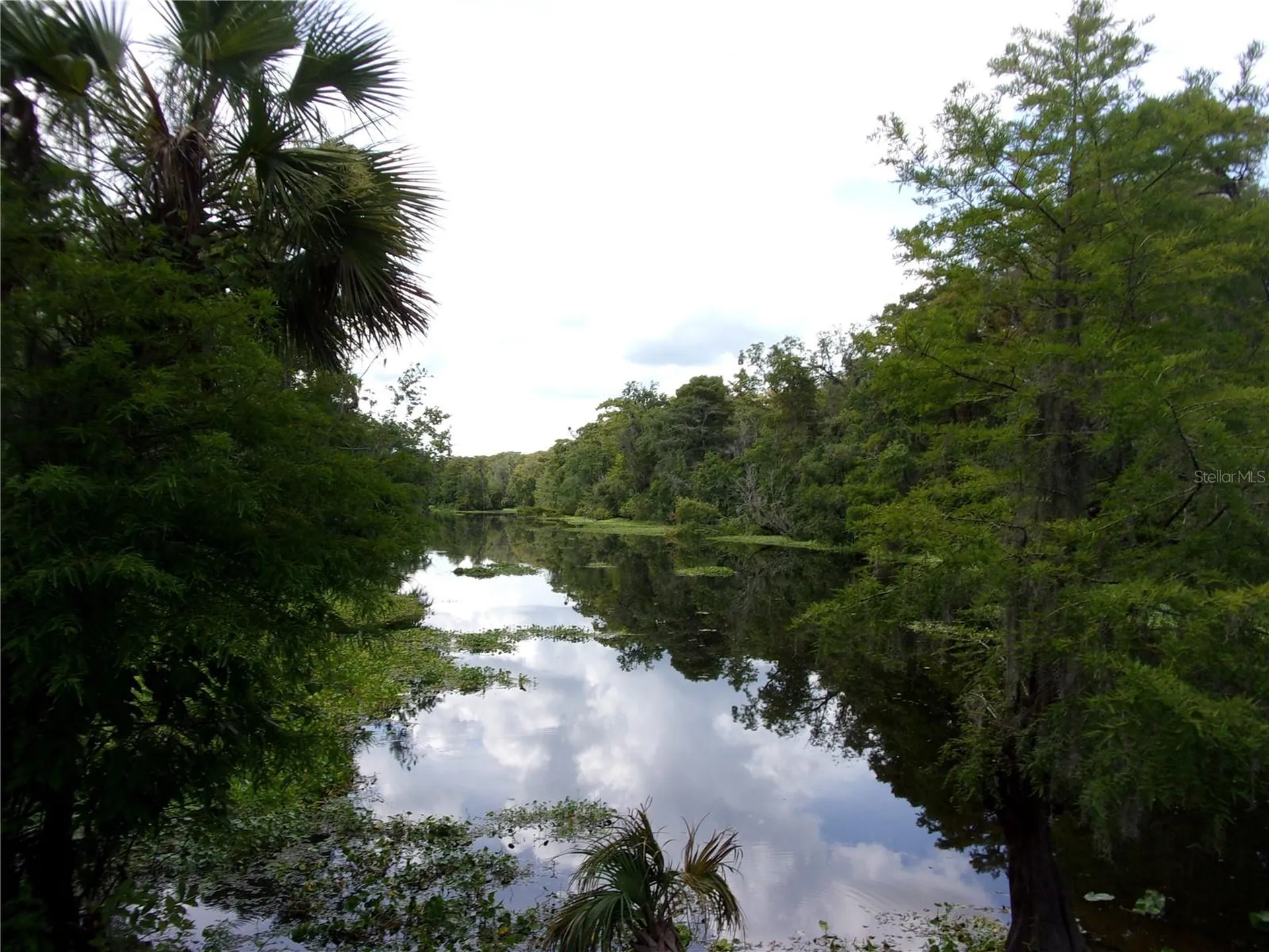 Deep Woods Road Paisley FL 32767