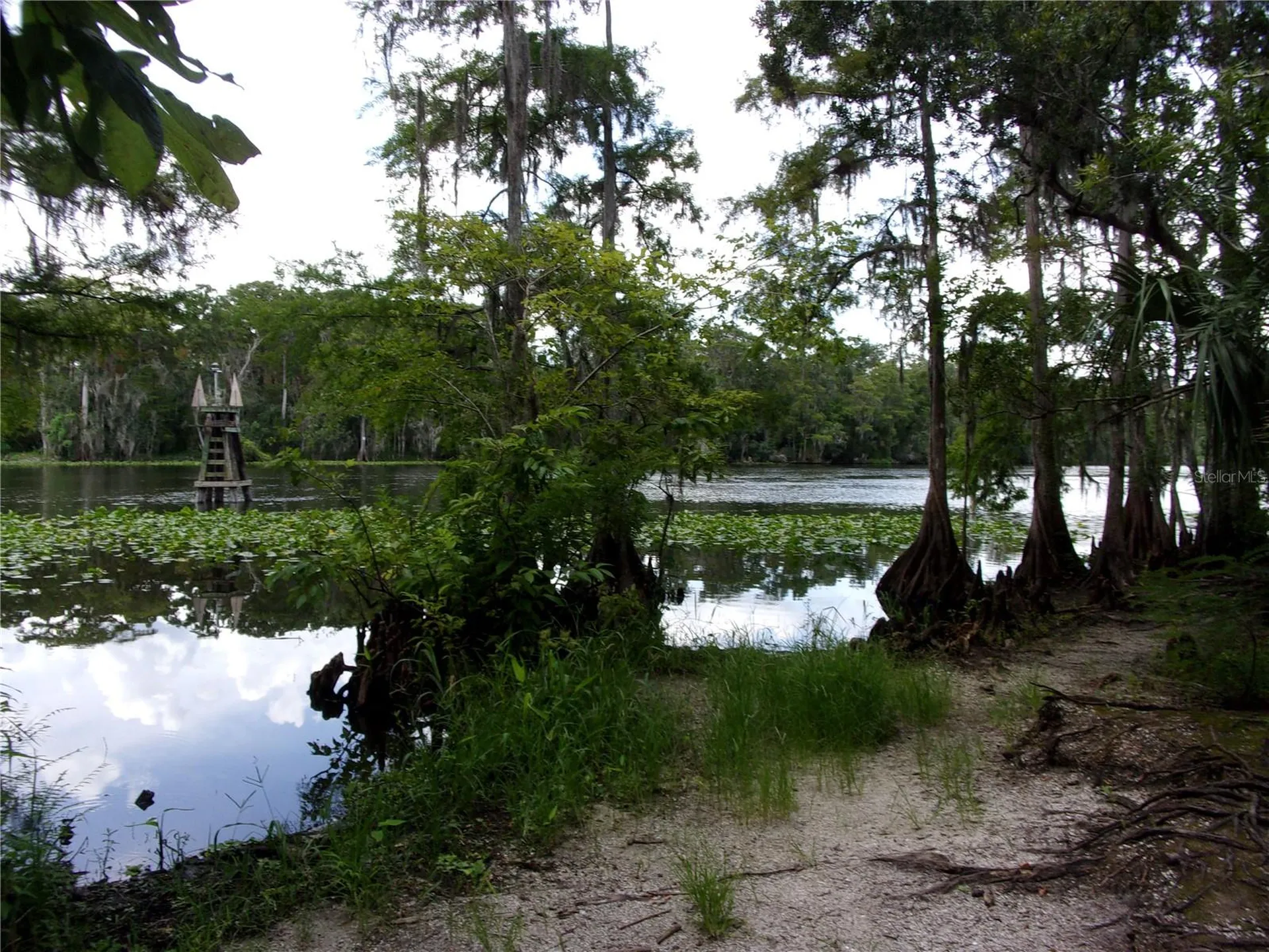 Deep Woods Road Paisley FL 32767