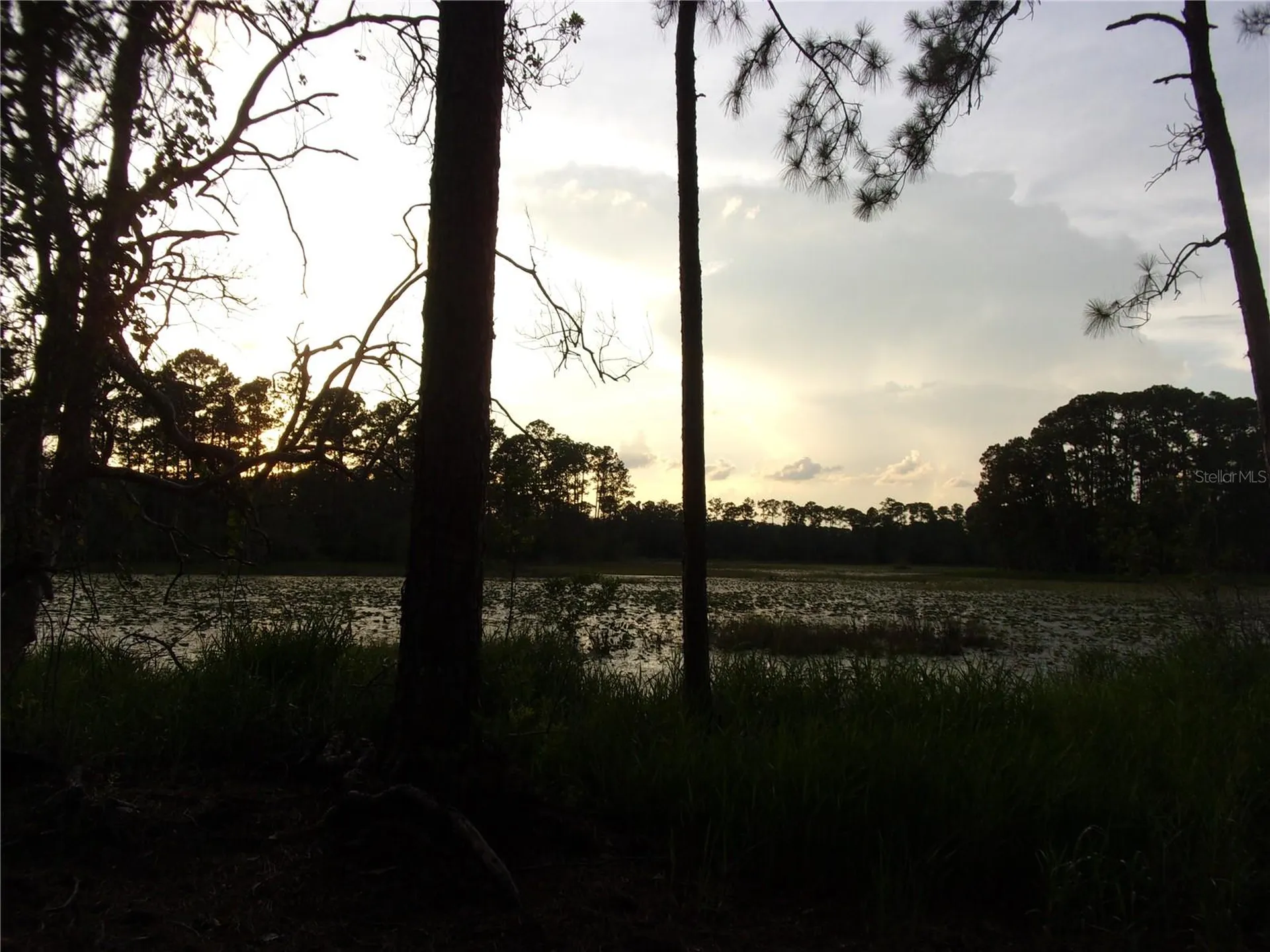 Deep Woods Road Paisley FL 32767