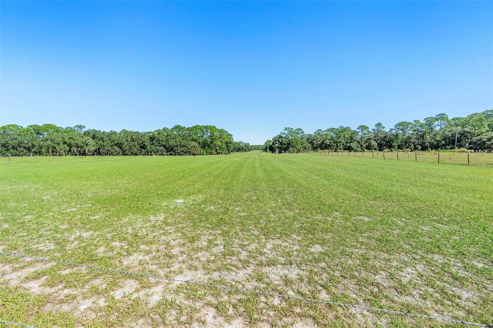 Deep Woods Road Paisley FL 32767