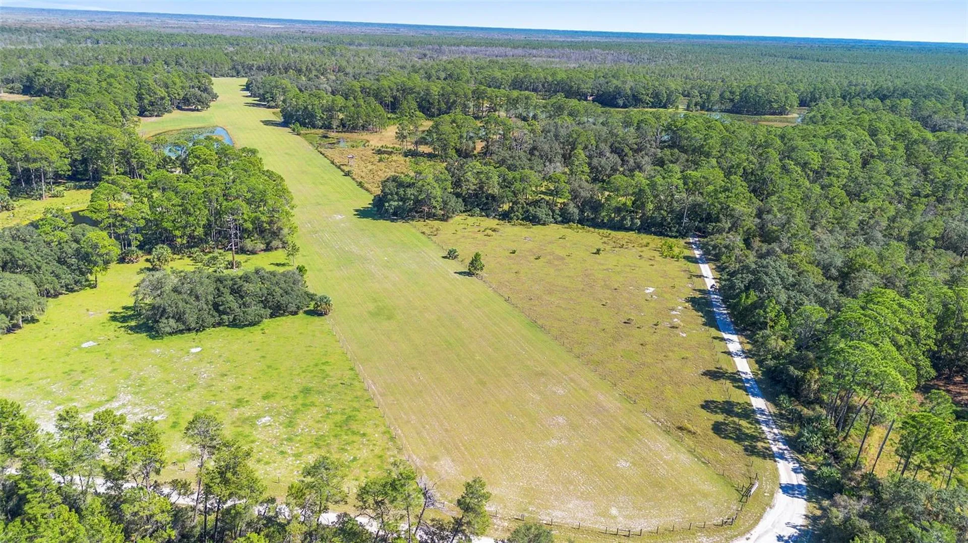 Deep Woods Road Paisley FL 32767