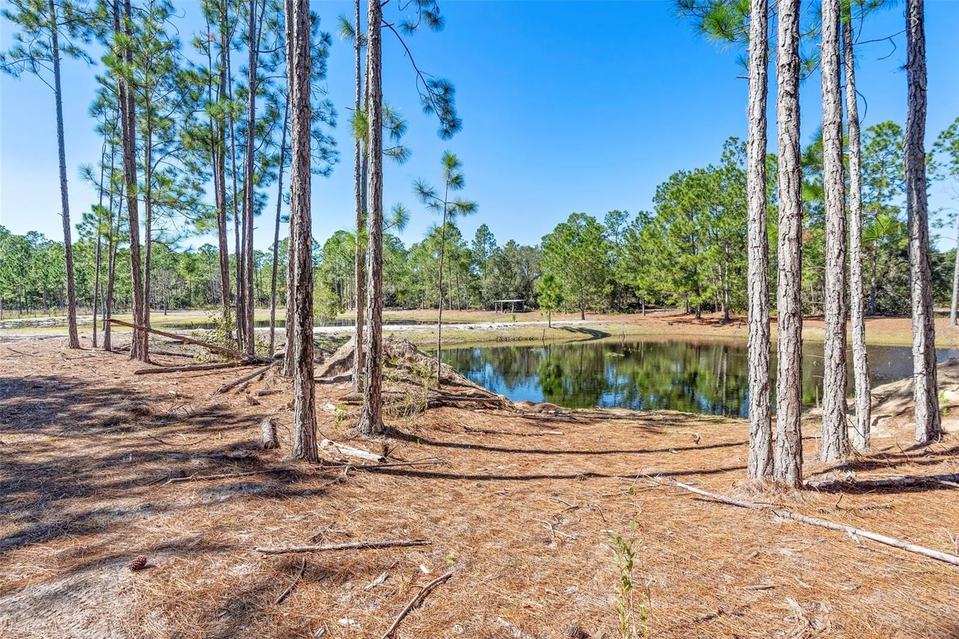 Deep Woods Road Paisley FL 32767