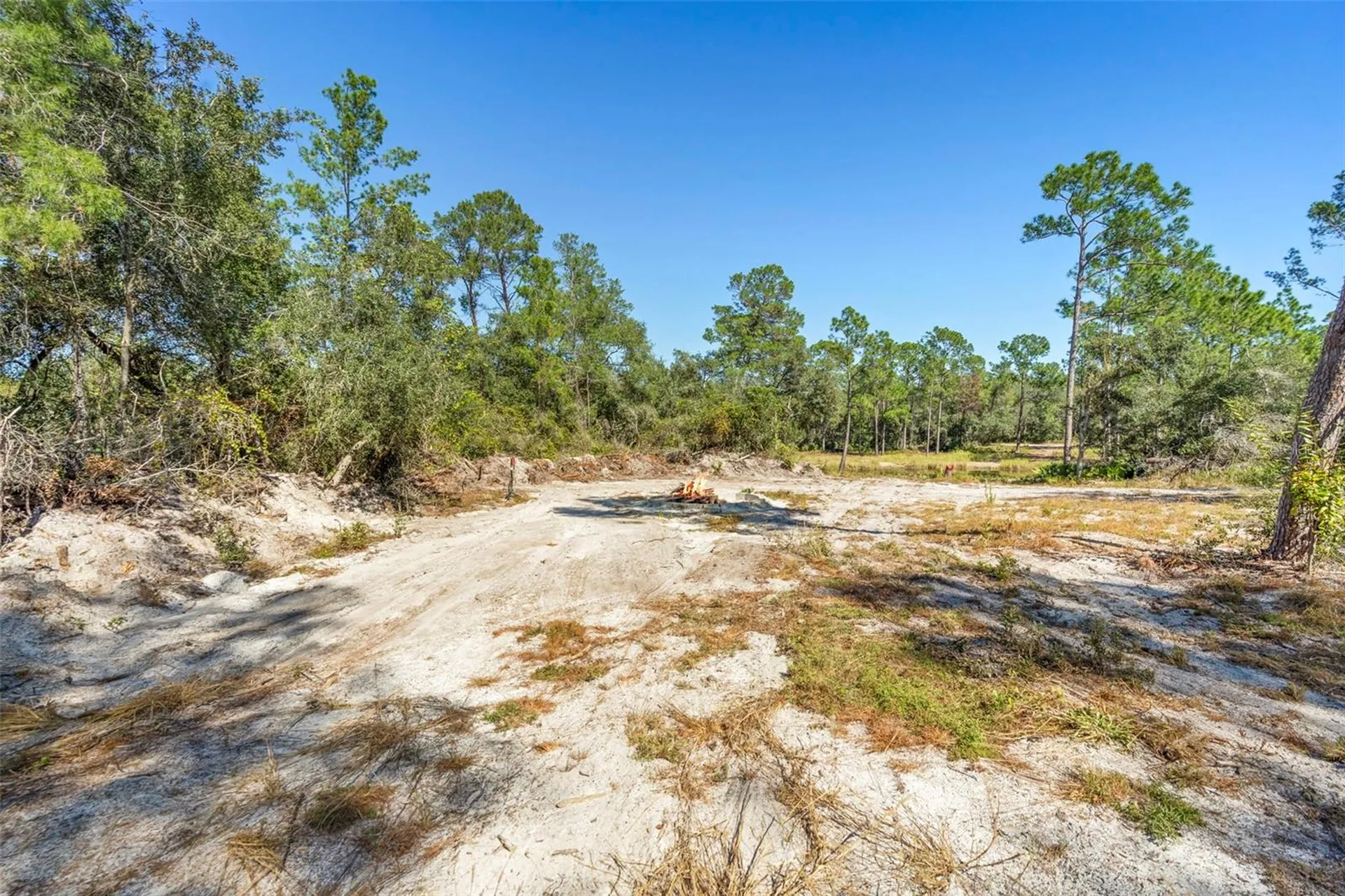 Deep Woods Road Paisley FL 32767