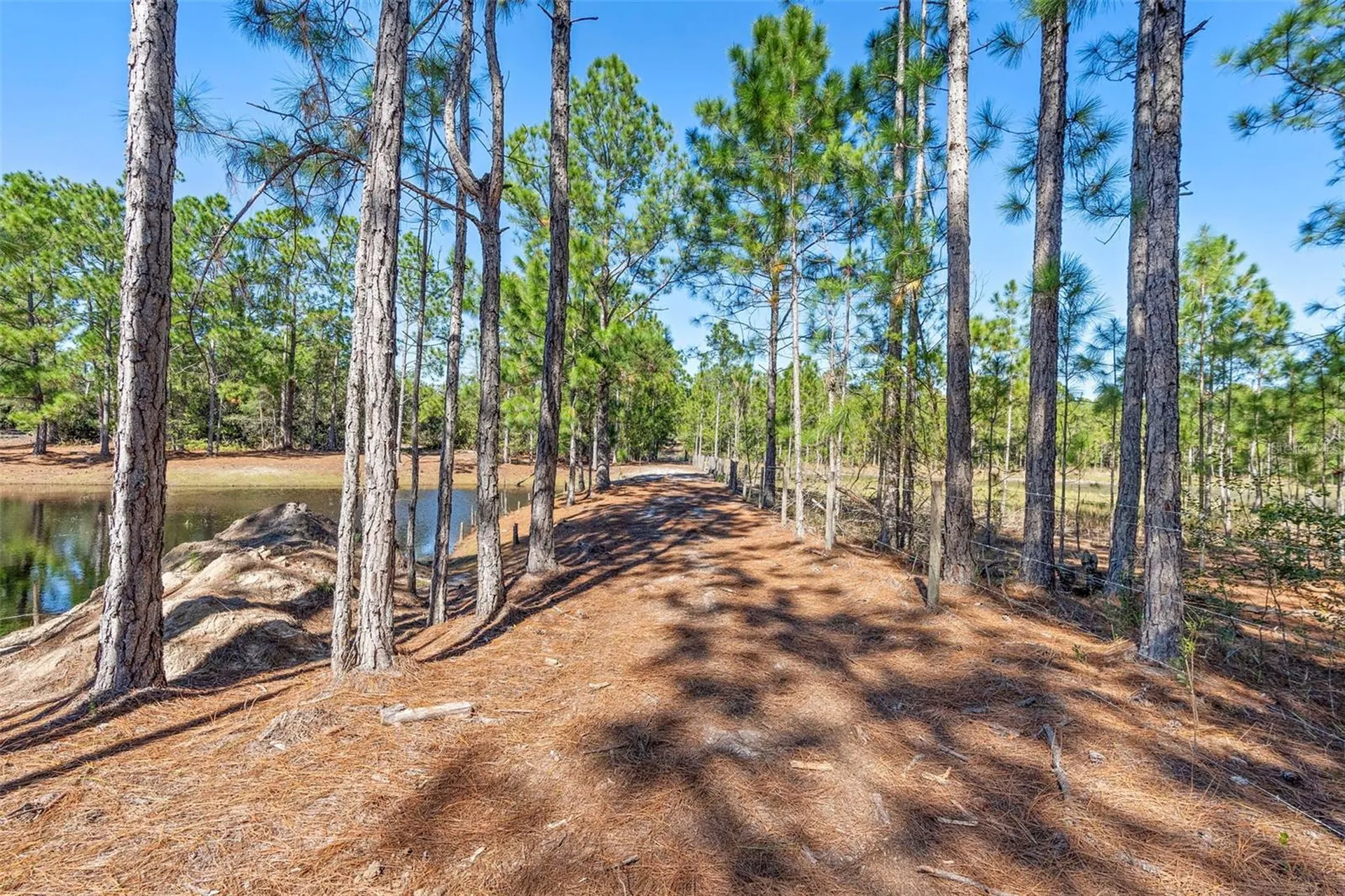 Deep Woods Road Paisley FL 32767