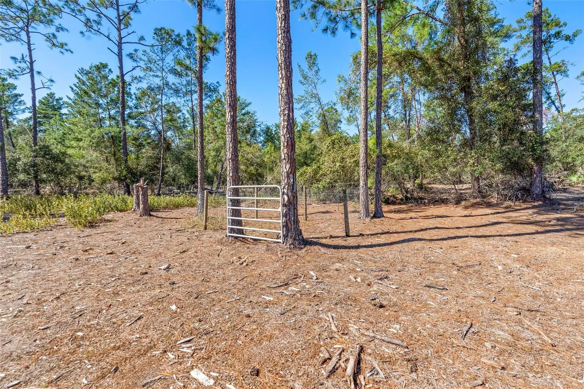 Deep Woods Road Paisley FL 32767