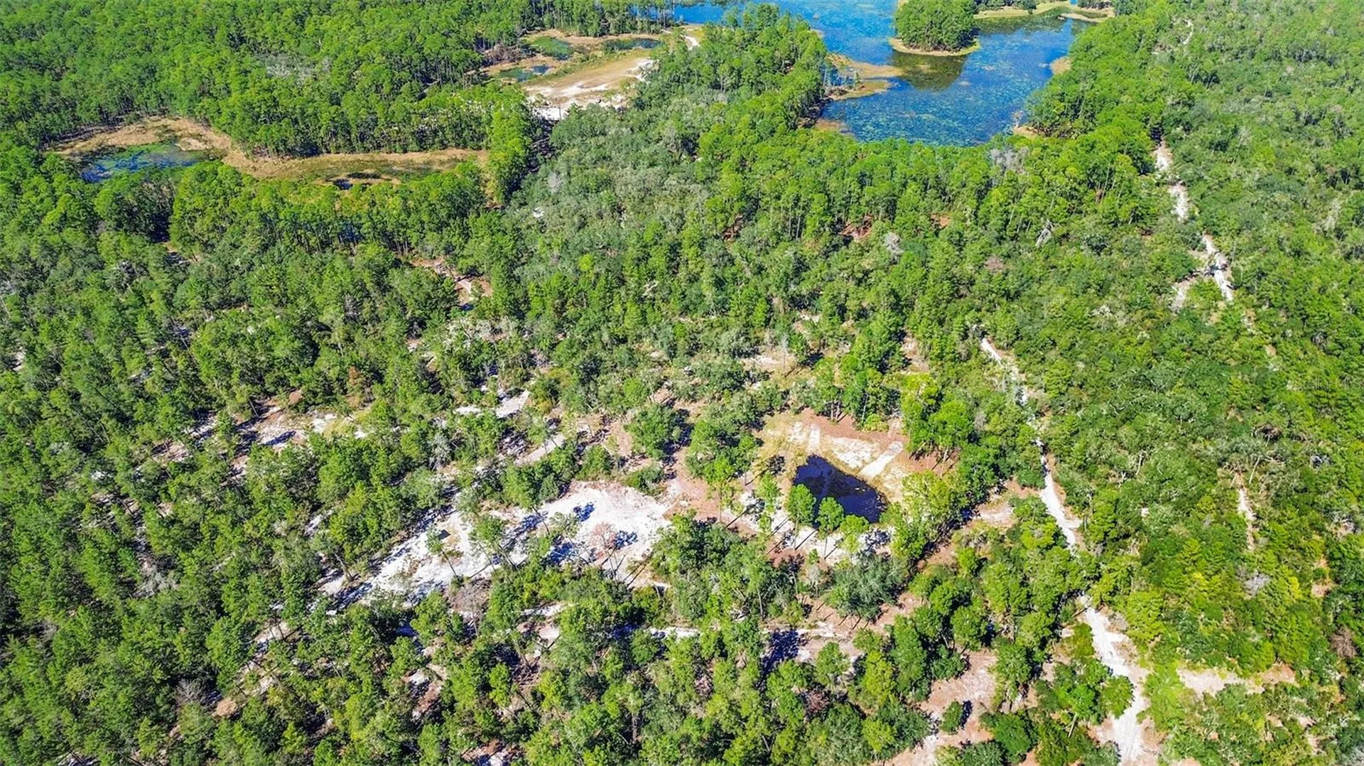 Deep Woods Road Paisley FL 32767