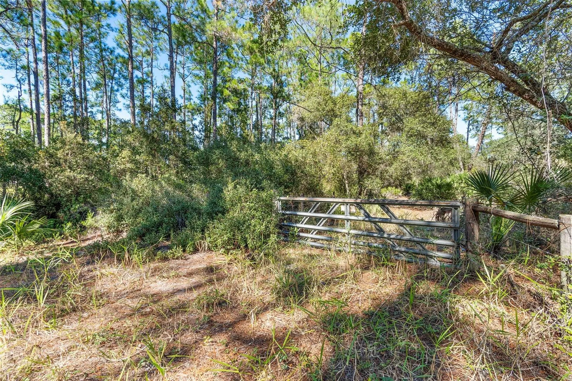 Deep Woods Road Paisley FL 32767