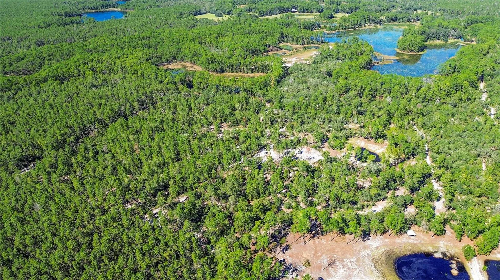 Deep Woods Road Paisley FL 32767