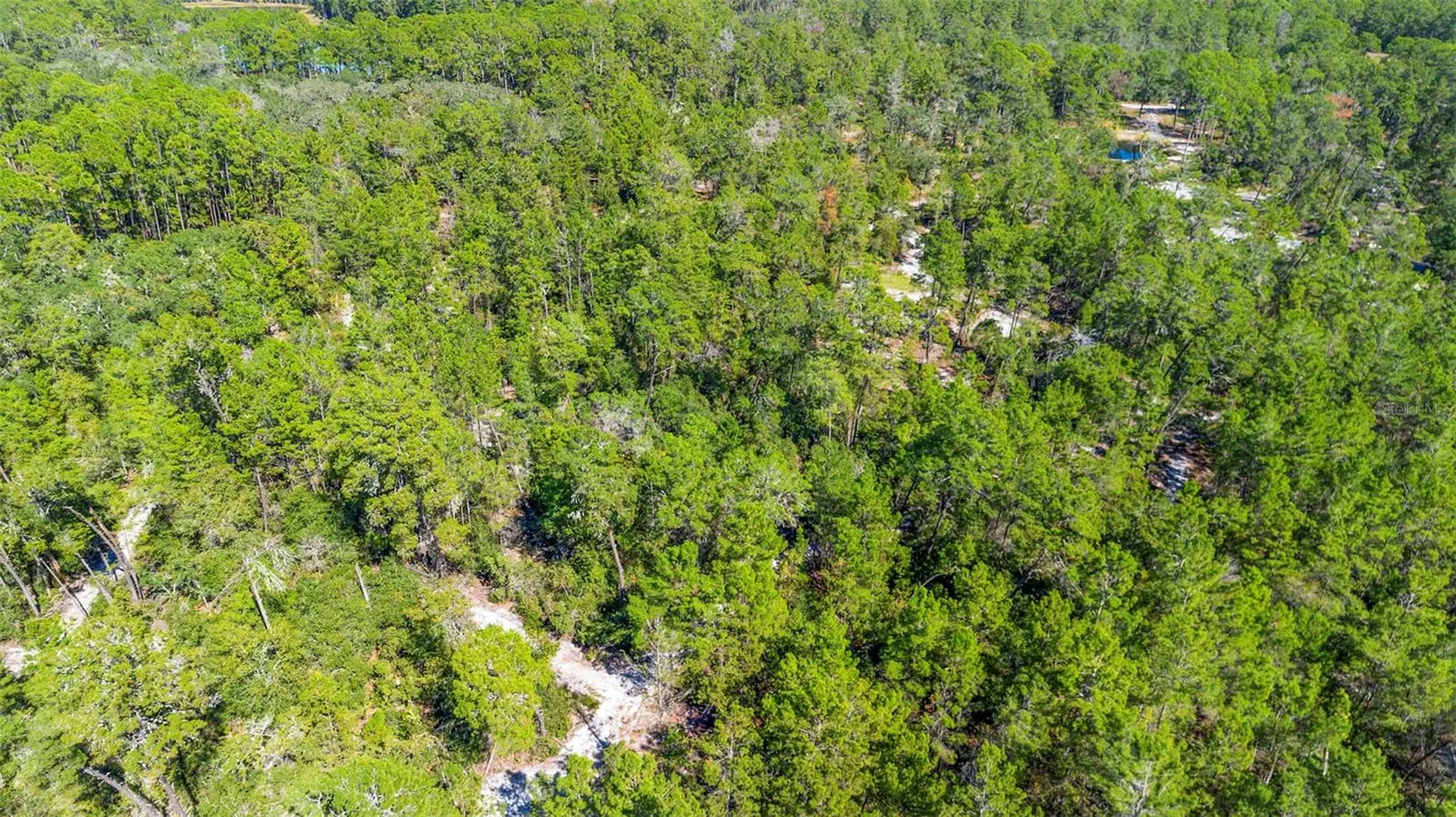Deep Woods Road Paisley FL 32767