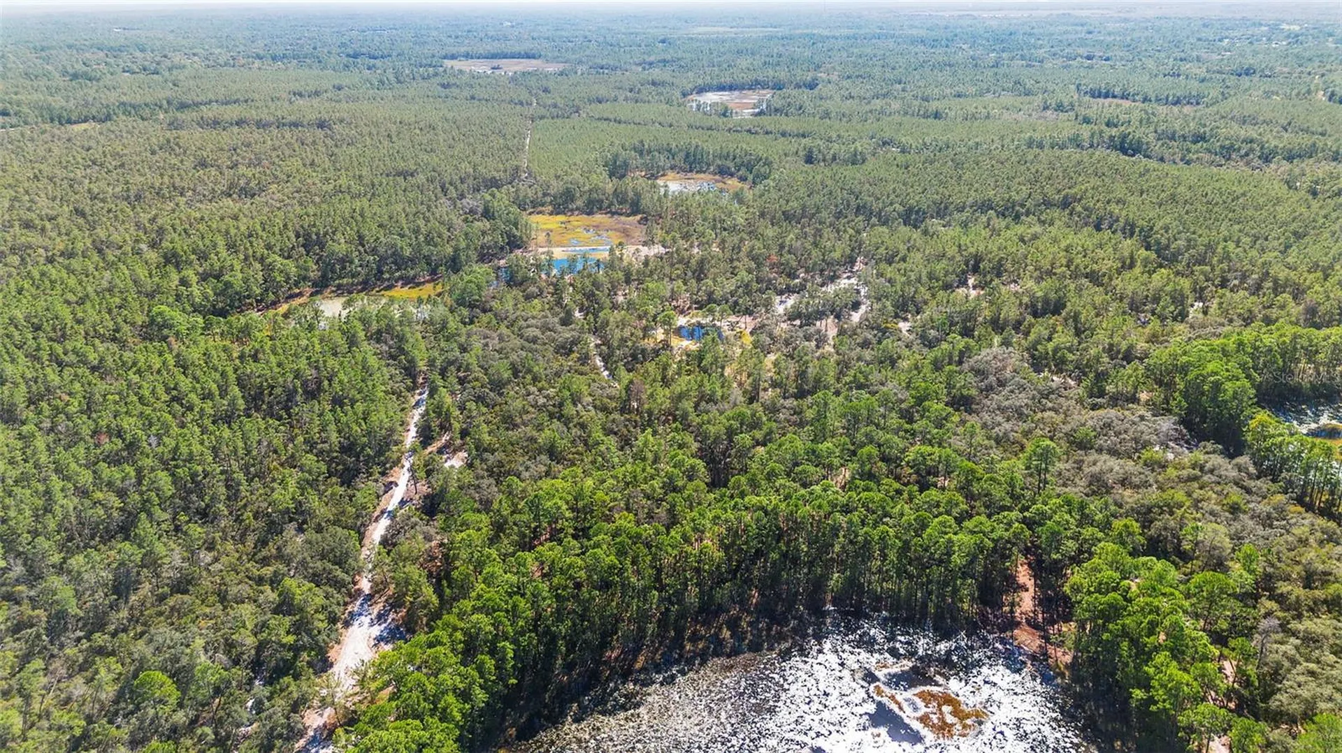 Deep Woods Road Paisley FL 32767
