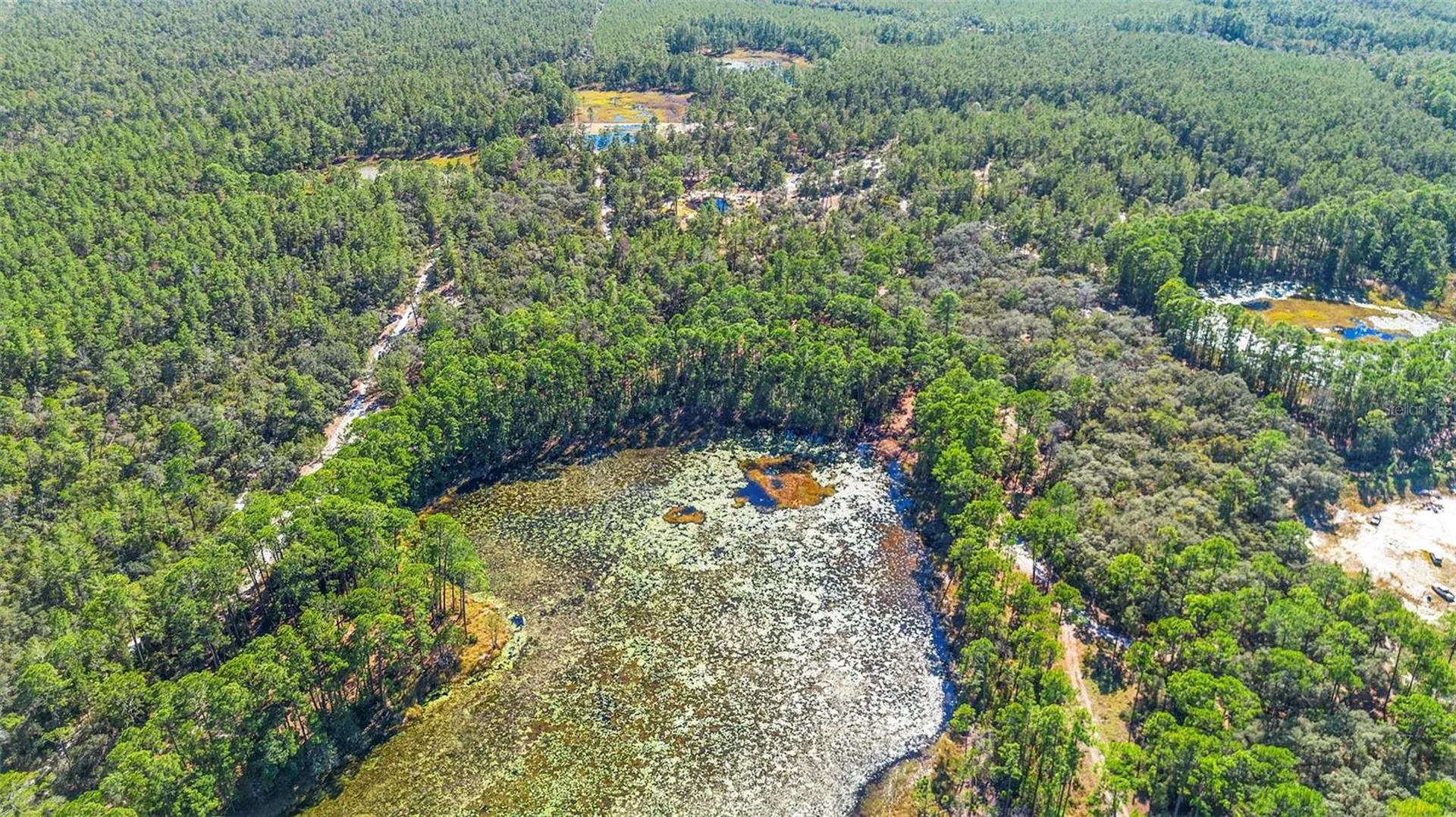 Deep Woods Road Paisley FL 32767