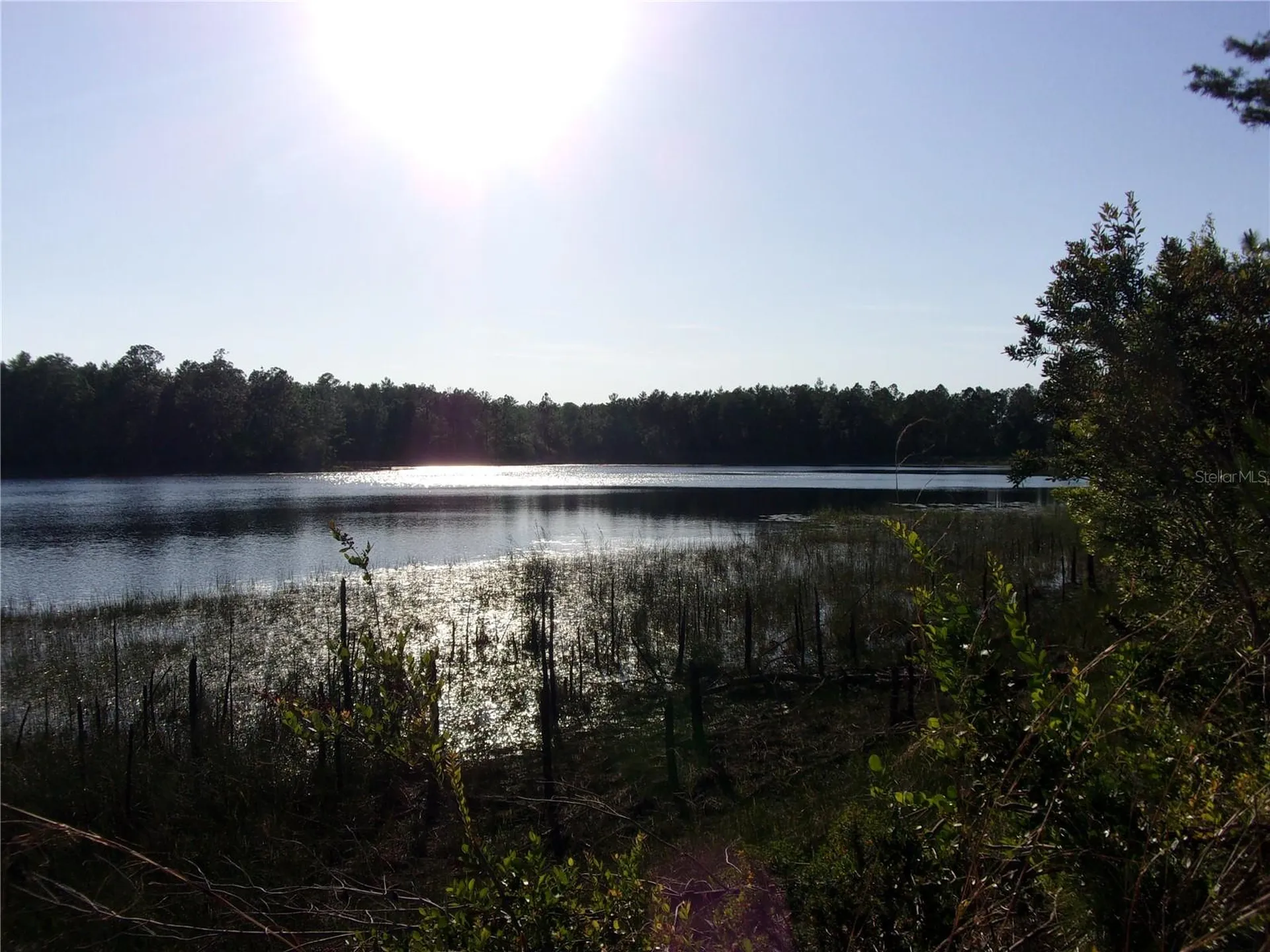 Deep Woods Road Paisley FL 32767