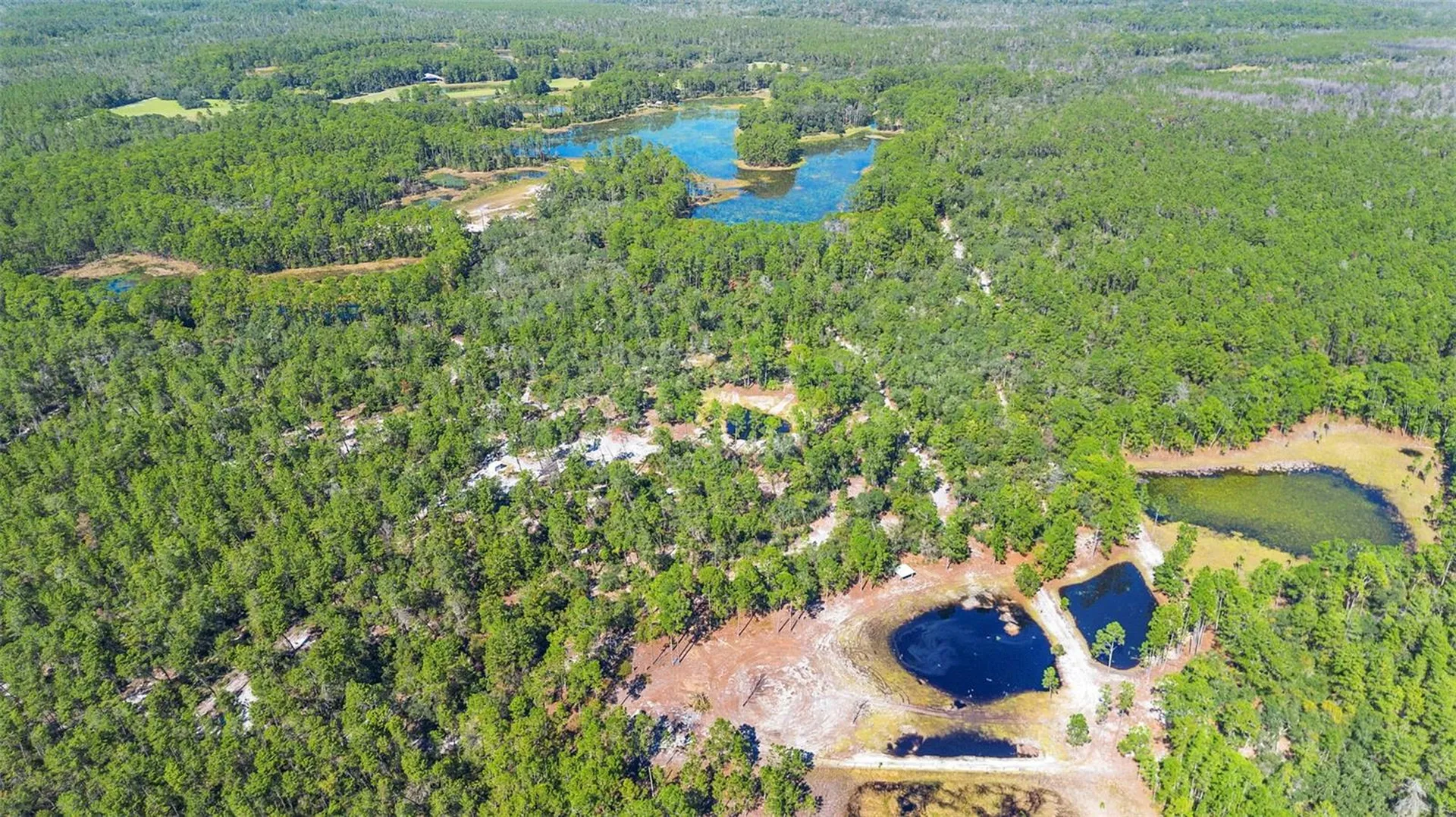 Deep Woods Road Paisley FL 32767