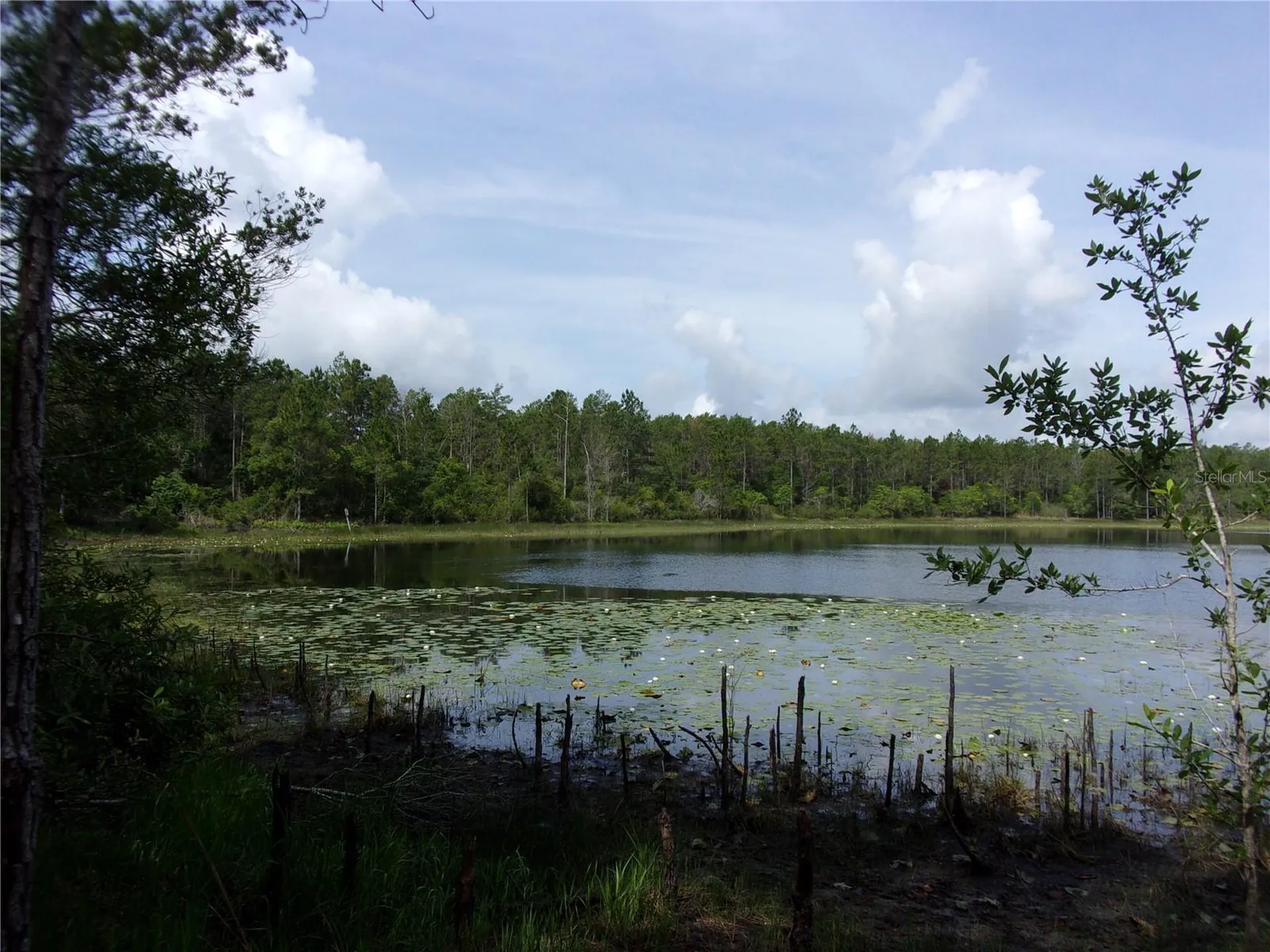 Deep Woods Road Paisley FL 32767