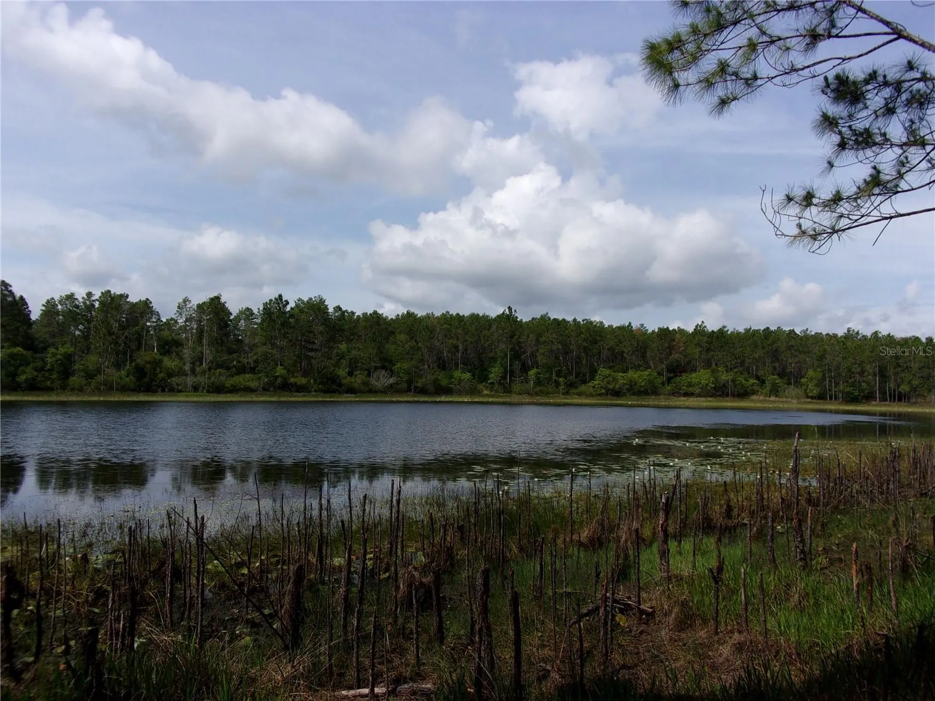 Deep Woods Road Paisley FL 32767