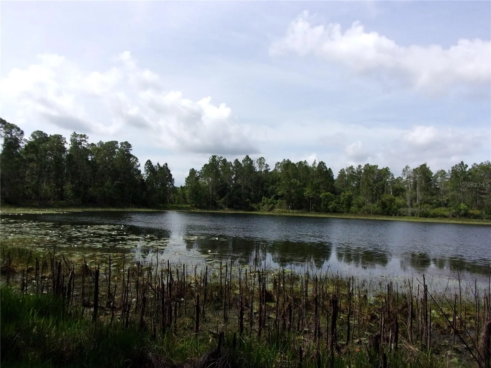 Deep Woods Road Paisley FL 32767