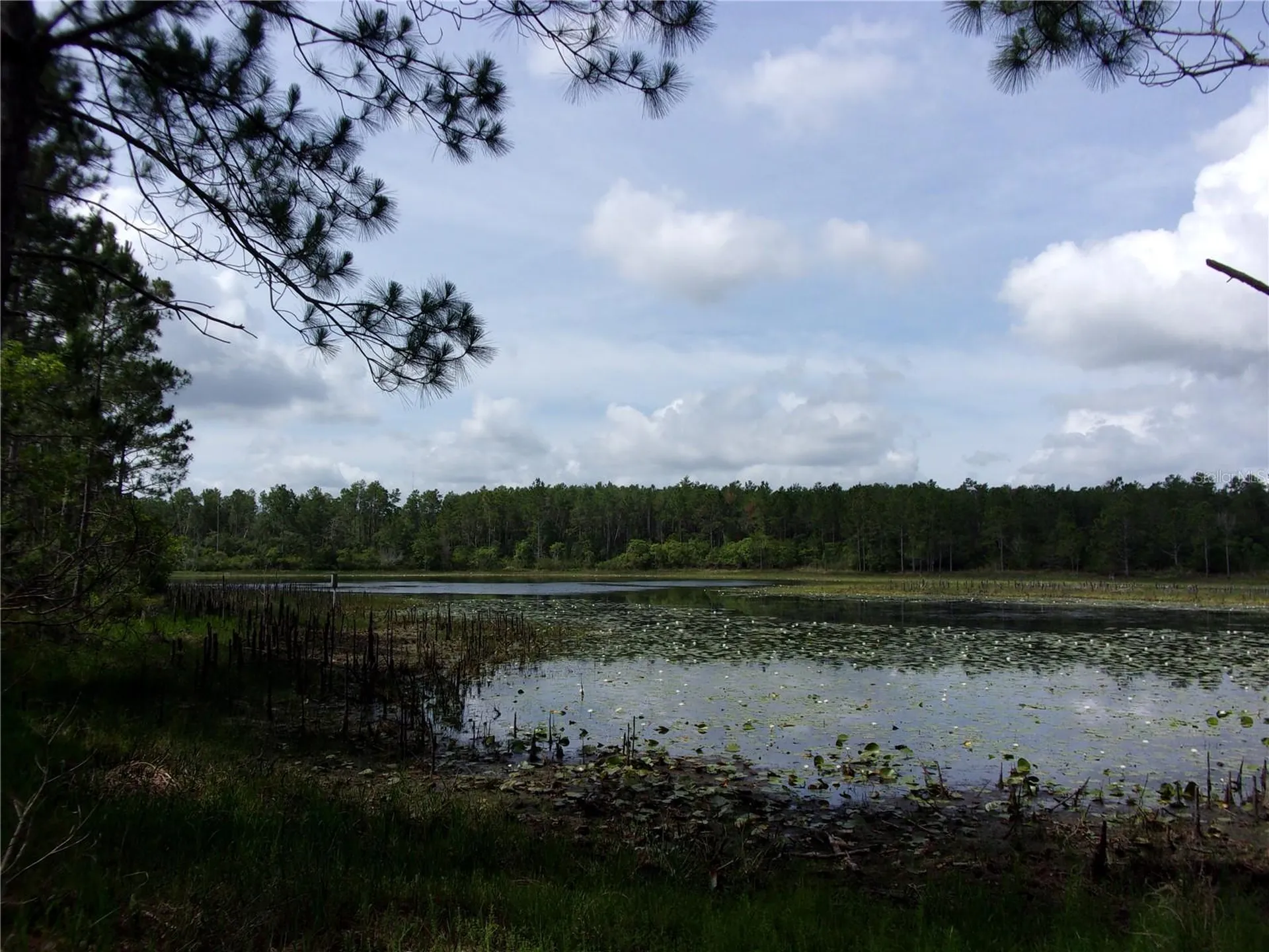 Deep Woods Road Paisley FL 32767