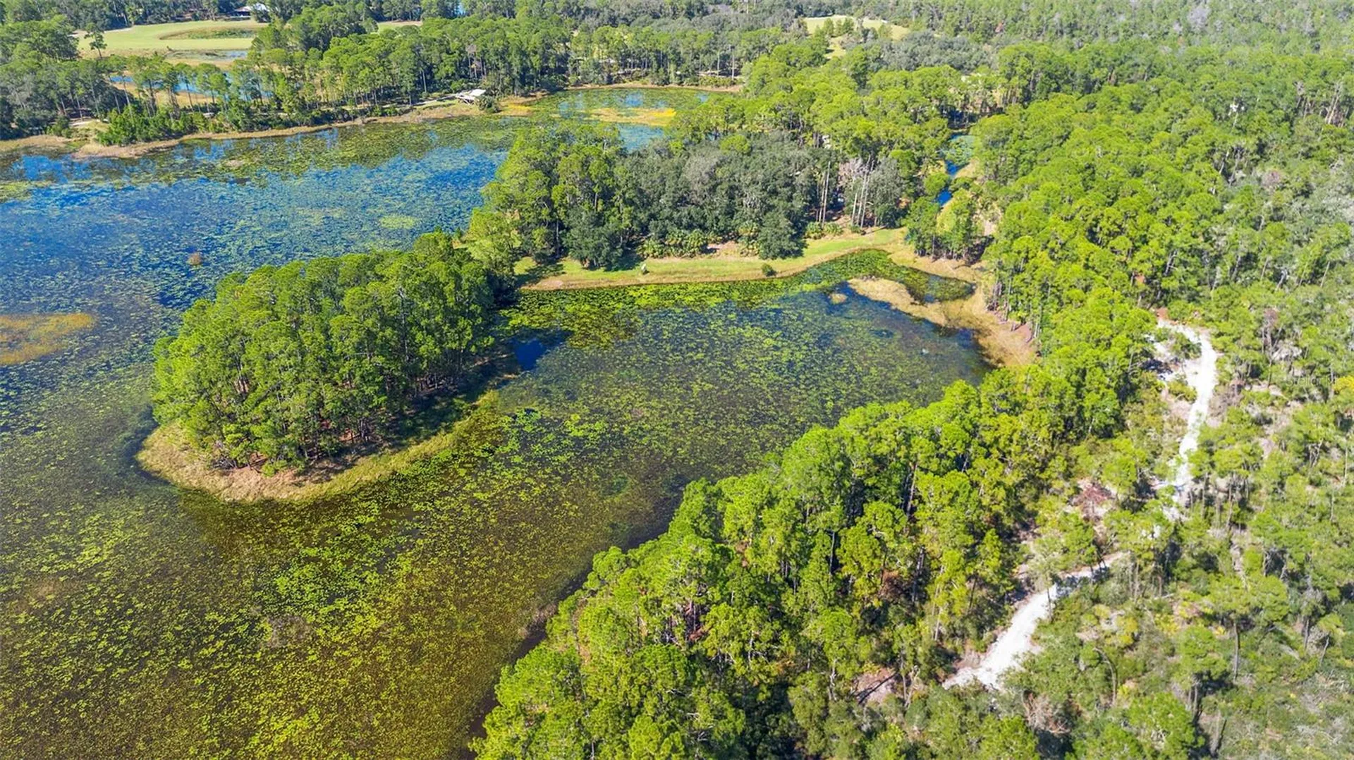Deep Woods Road Paisley FL 32767