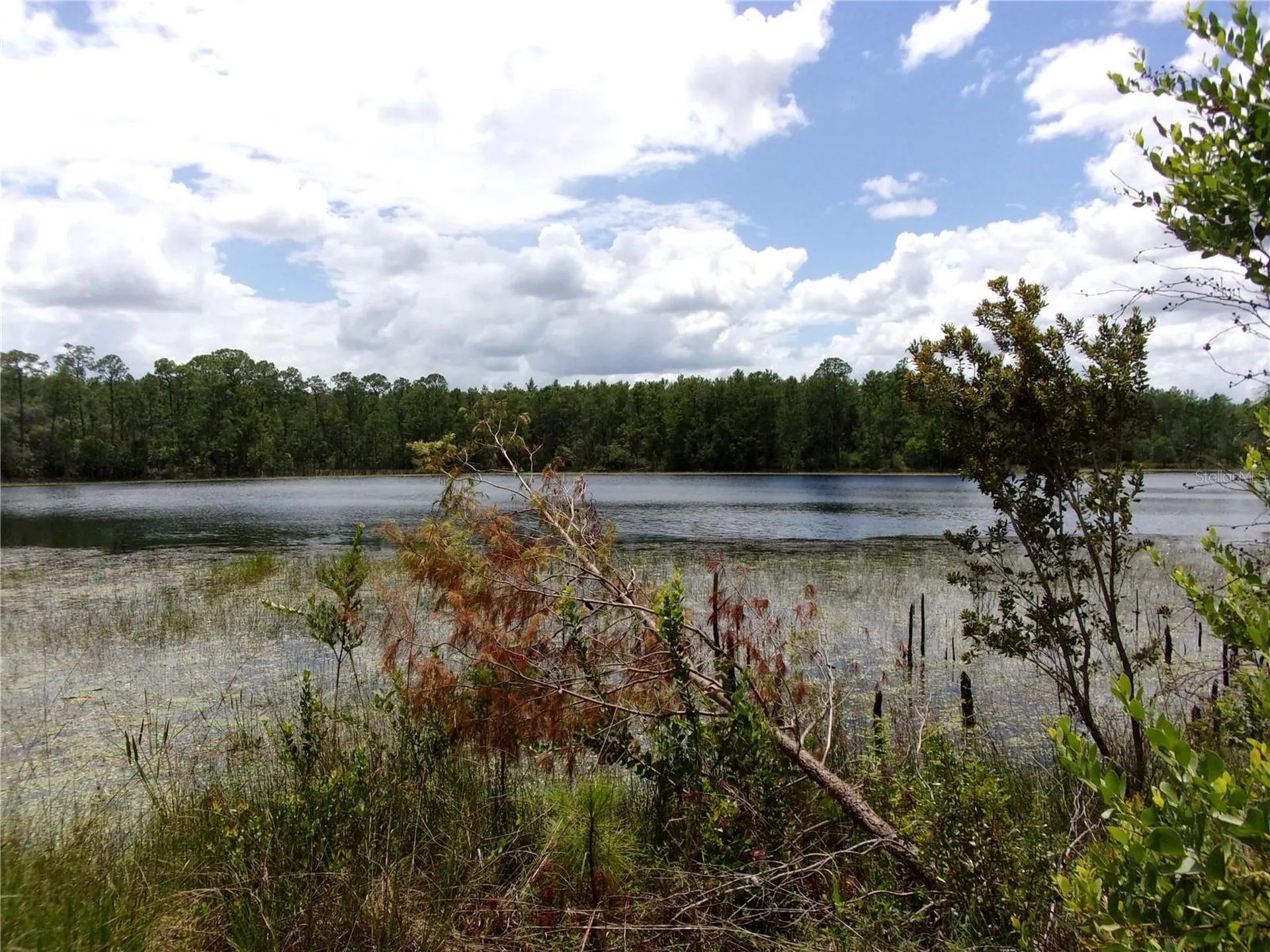 Deep Woods Road Paisley FL 32767