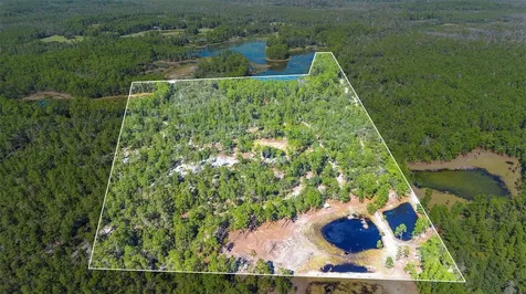 Deep Woods Road Paisley FL 32767