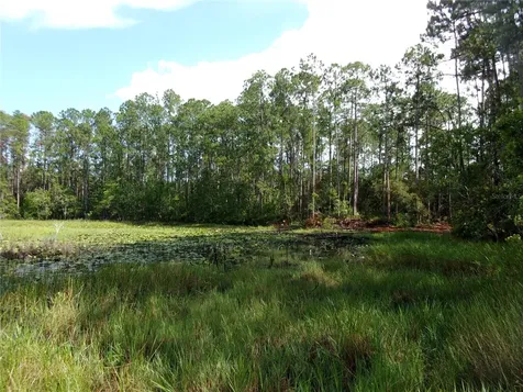 Deep Woods Road Paisley FL 32767