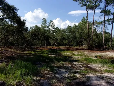 Deep Woods Road Paisley FL 32767