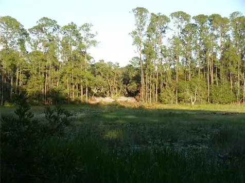 Deep Woods Road Paisley FL 32767