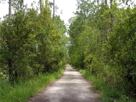 Deep Woods Road Paisley FL 32767