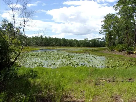 Deep Woods Road Paisley FL 32767