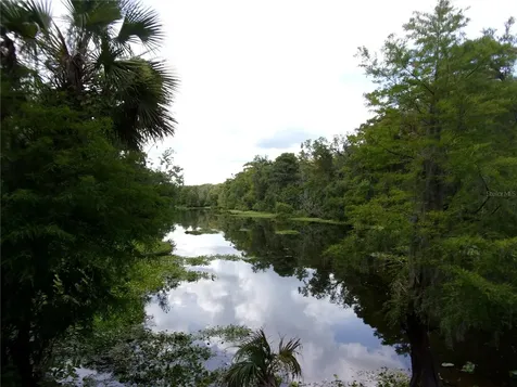 Deep Woods Road Paisley FL 32767