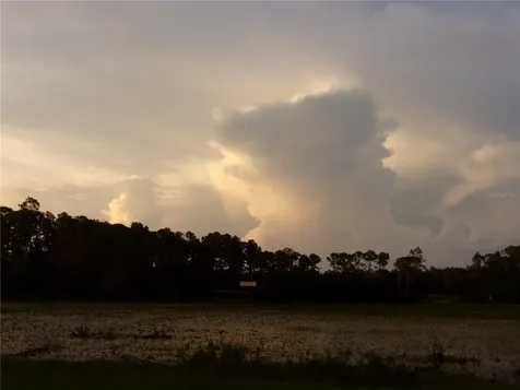Deep Woods Road Paisley FL 32767
