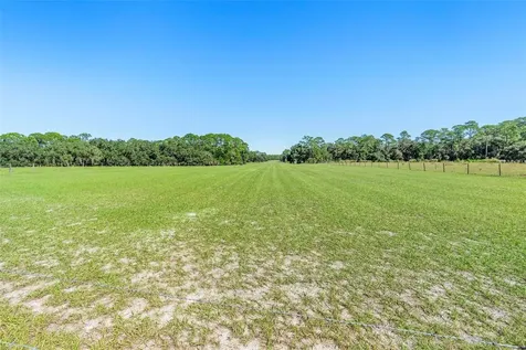 Deep Woods Road Paisley FL 32767