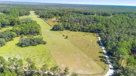Deep Woods Road Paisley FL 32767