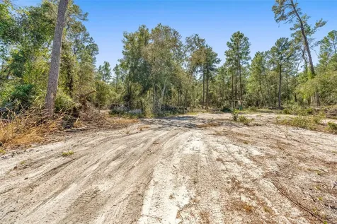 Deep Woods Road Paisley FL 32767